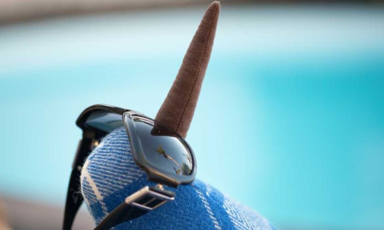 Mack chilling by the pool